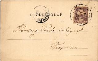 1901 Szántó, Santovka; Szántói savanyúvíz forrás, pavilon a forrás felett. Divald Károly kiadása / m...