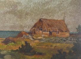 Jelzés nélkül, XX. sz. első fele: Vízparti táj. Olaj, karton. Dekoratív, kissé sérült régi fakeretbe...