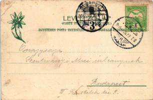 1908 Igló, Zipser Neudorf, Spisská Nová Ves; látkép. Feitzinger Ede 712. Ps. 1904-14. / general view...