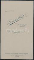 cca 1910 Fiatal lány ülő portréja, kabinetfotó Liederhoffer Vilmos budapesti műterméből, jó állapotb...
