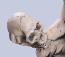 Az evolúció allegóriája. Gipsz és műgyanta őrlemény szobor. 26 cm