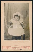 cca 1900-1910 Kislány portréja, vizitkártya Helfgott Sámuel "Secessio" fényképészeti műterméből (Budapest, Károly kaszárnya és Városliget), 10,5x6,5 cm