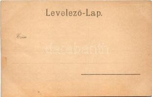 Szepesmindszent, Szepes-Mindszent, Biacovce, Bijacovce; Gróf Csáky Albin kastélya. Szoller Géza kiad...