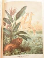 Donászy Ferenc: Őserdőkön, tengereken. Természeti képek és vadászkalandok mind az öt világrészből. T...