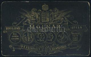 cca 1890 Férfiportré, vizitkártya borosjenői Molnár István (Kézdivásárhely és Sepsiszentgyörgy) műte...