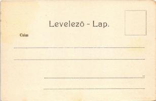 Szászrégen, Sächsisch-Regen, Reghin; Város részlet a sétatérrel. Hübner Ignác kiadása / general view...