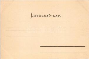 Szászváros, Broos, Orastie; látkép. Graef H. kiadása / general view