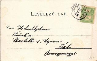 1902 Székelyudvarhely, Odorheiu Secuiesc; Kossuth utca, üzletek. Gál János kiadása / street view, sh...