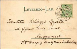 1905 Székelyudvarhely, Odorheiu Secuiesc; Református főtanoda, kollégium, Rudolf József kárpitos üzl...