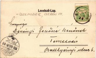 1902 Szelindek, Stolzenburg, Slimnic; Sächsisches Brautpaar, Ev. Pfarrhof, Die Stolzenburg / Szász j...