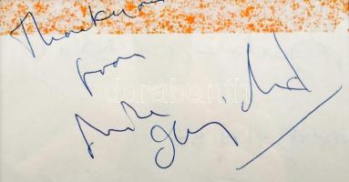 Mike Oldfield (1953-) Grammy-díjas angol zeneszerző, zenész ("Moonlight Shadow") autográf sorai és aláírása, felette egy Mike Oldfieldet ábrázoló nyomattal, paszpartuban, üvegezett keretben, 34x27 cm /  Autograph signature of Mike Oldfield (1953-) an English musician, songwriter and producer, in glassed frame, 34x27 cm.