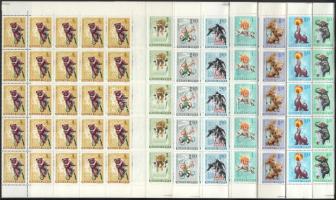 1965 Cirkusz 8 klf érték összefüggésekben