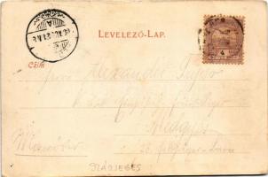 1900 Szászsebes, Mühlbach, Sebesul Sasesc, Sebes; Evangélikus templom és gimnázium, Városi park, Úri...