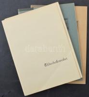 Csehszlovákia 1919-1939 gyűjtemény maradvány 3 albumban / Czechoslovakia remainder collection in 3 a...