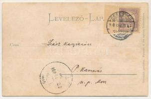 1900 Segesvár, Schässburg, Sighisoara; dombornyomott látkép. Hermann G. Roth fényképész kiadása / ge...