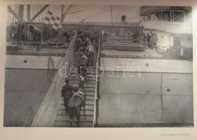 Gáspár Ferencz: A Föld körül VI. köt.: A tengerészet lovagkora. Bp., 1907, Singer és Wolfner. Gazdag...