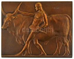 Juhász Gyula (1876-1913) 1907. "Húsipari kiállítás 1907" bronz kétoldalas plakett (61x48mm) T:AU,XF patina