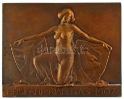 Juhász Gyula (1876-1913) 1907. "Húsipari kiállítás 1907" bronz kétoldalas plakett (61x48mm...