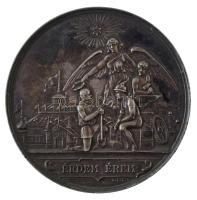 Piffl Alajos 1891. "1891 évi Délmagy. Ipar- és Mezőgazdasági Kiállítás Temesvárott / Érdem érem" peremen jelzett Ag emlékérem, "1891. Juli.19." gravírozással (81,58g/0.950/61mm) T:AU patina, pici ph.