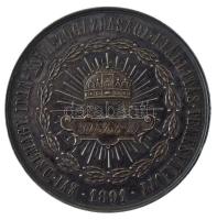 Piffl Alajos 1891. "1891 évi Délmagy. Ipar- és Mezőgazdasági Kiállítás Temesvárott / Érdem érem...