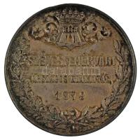 1879. "Székesfehérvári Országos Kiállítás" kétoldalas bronz emlékérem (50mm) T:AU,XF patin...