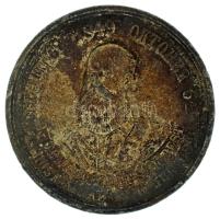 1870. "Elhunyt 1849 Október 6-án - Eltemettetett Sz.K.Pest Városa Által 1870. Június 9. / Alkotmány és Törvény" ón emlékérem Gróf Batthyány Lajos újratemetésének emlékére. Szign.: Klassohn Antal (36mm) T:VF patina, ph.