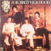 Brotherhood Of Man - B For Brotherhood. Vinyl, LP, Album. Pye Records, 1978. VG+
