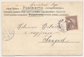 1902 Art Nouveau lady art postcard. Emb. litho (ázott sarok / wet corner)