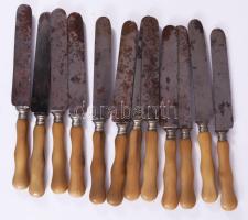12 darab csont nyelű kés, h: 24 cm