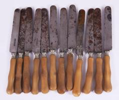 12 darab csont nyelű kés, h: 20 cm