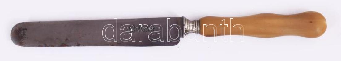 12 darab csont nyelű kés, h: 20 cm