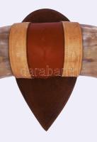 Nagyméretű bivaly szarv trófea, cca 70x40x30 cm