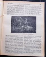 1937 Kittenberger Kálmán szerkesztette Nimród Vadászújság teljes évfolyama dombornyomott aranyozzott...
