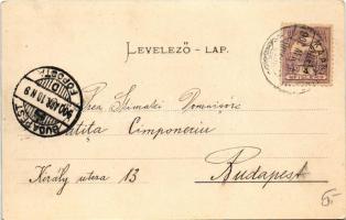 1900 Kaposvár, látkép, vasútállomás, városi villanytelep. Hagelmann Károly kiadása (EK)