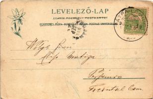 1903 Tátra, Magas Tátra, Vysoké Tatry; Poduplaszki-völgy részlet a vadászházon alul. Feitzinger Ede ...