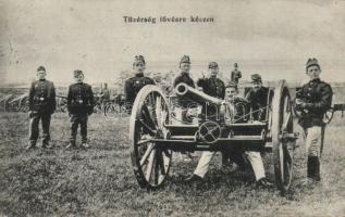 Military WWI Hungarian artillery So. Stpl