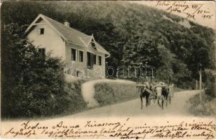 1908 Felsőrécsény, Horné Risnovce (Récsény, Risnovce) (?); út, ökrös szekér / road with ox cart (EK)