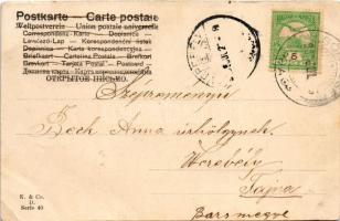 1908 Felsőrécsény, Horné Risnovce (Récsény, Risnovce) (?); út, ökrös szekér / road with ox cart (EK)