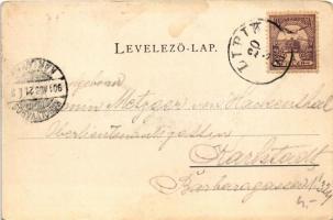 1901 Lipik, fürdő, park részlet / Bad, Park-Partie. Schmidt Edgar / spa, park (EK)