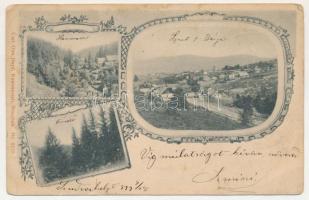 1899 Homoródfürdő, Homoród-fürdő, Baile Homorod; Homoród, Szentkeresztbánya / Baile Homorod and Mina Sfanta Cruce (Vlahita Noua). Carl Otto Hayd Kunstanstalt Nr. 6515. Art Nouveau, floral (EB)