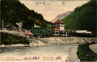 1906 Herkulesfürdő, Baile Herculane; Artézi kút. Divald Károly 898. sz. / Artesischer Brunnen / fountain, well (EK)