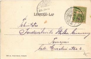 1906 Herkulesfürdő, Baile Herculane; Artézi kút. Divald Károly 898. sz. / Artesischer Brunnen / foun...