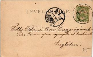 1903 Ferencfalva, Franzdorf, Valiug (Resicabánya, Resita); Villa Klause / villa (vágott / cut)