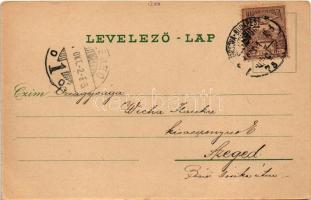 1901 Herkulesfürdő, Baile Herculane; Cserna szoros, Jäger Emil kiadása / gorge + "ORSOVA - BUDA...