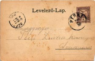 1901 Piski, Simeria; A piski csata (F. Breidwieser festménye után), Bem-szobor, emlékmű. Főző József...