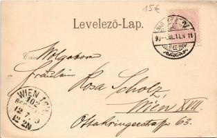 1899 (Vorläufer) Nagybecskerek, Zrenjanin, Veliki Beckerek; Bega part, megyeház. Schenk H. kiadása /...