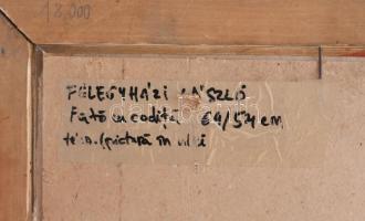 Félegyházi László (1907-1986): Portré. Pasztell, papír, jelzés nélkül, hátoldalán feliratozott, üveg...