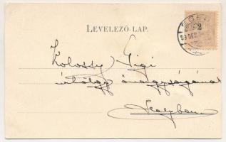 1899 Üdvözlet. Élővirágos üdvözlőlap. Galantai Gyula kiadása / Greeting card with real flower (EB)