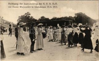Huldigung der Jugendsektion der K. F. O. N.-Ö. vor Ihrer Majestät in Schönbrunn, Wien 17/6. 1917. / Homage paid by the youth section of the K.F.O.N.-Ö. to Her Majesty (Queen Zita) in Schönbrunn, Vienna on June 17, 1917. (fl)