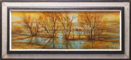 Fontos Sándor (1920-1991): Eső után. Vegyes technika, farost, jelzett, keretben, 25x70 cm